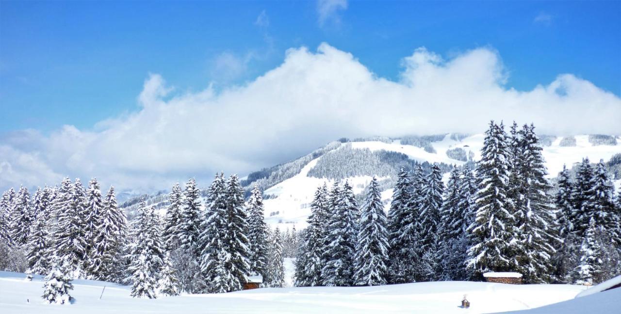 Hotel La Grange D'Arly Megève Kültér fotó